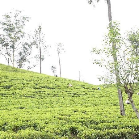 Apartmán Ella Tea Land View Exteriér fotografie