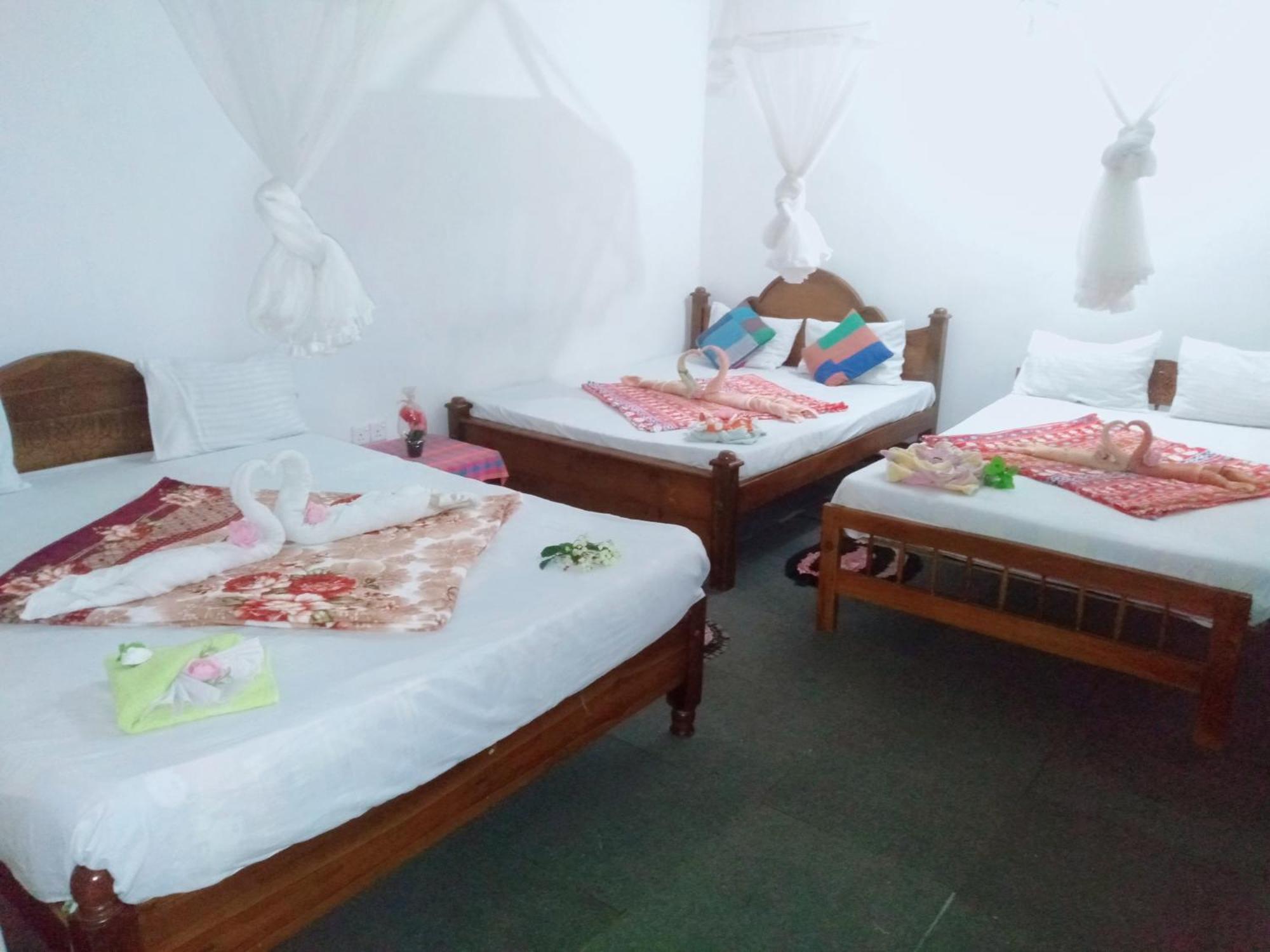 Apartmán Ella Tea Land View Pokoj fotografie