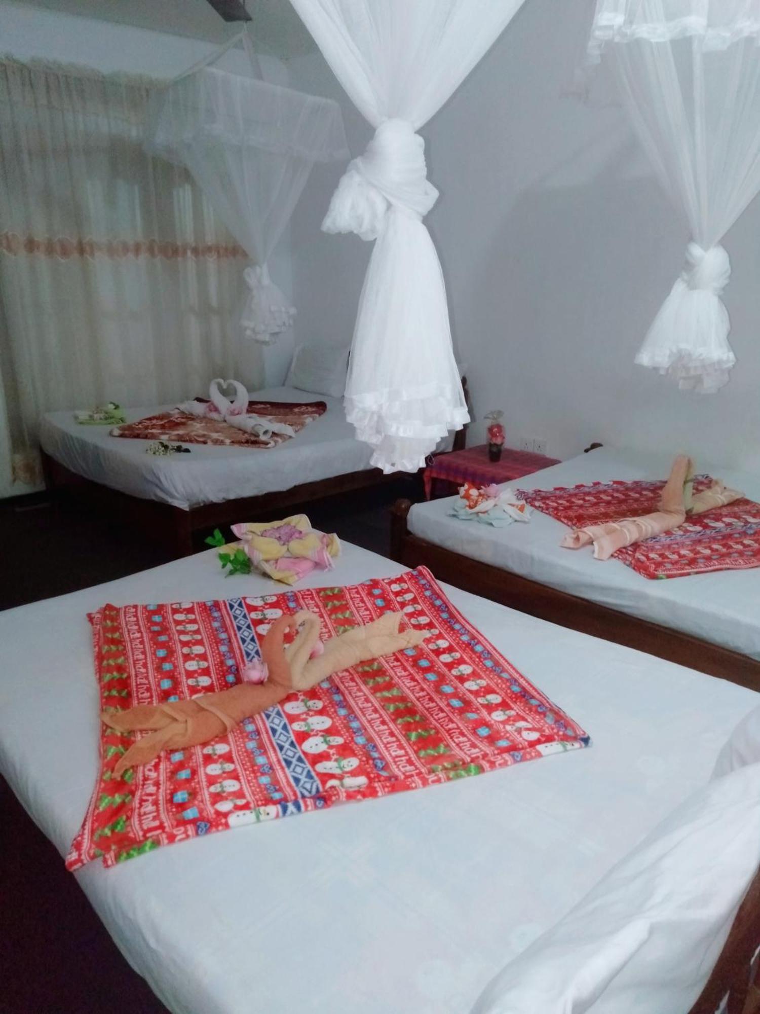 Apartmán Ella Tea Land View Pokoj fotografie