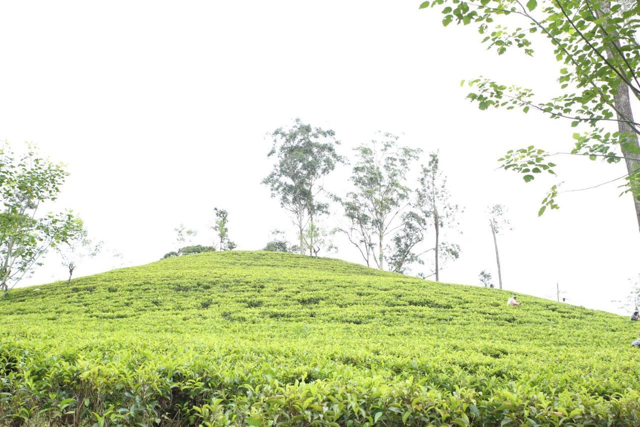 Apartmán Ella Tea Land View Exteriér fotografie